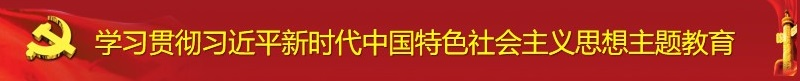 學習貫徹習近平新時代中國特色社會主義思想主題教育